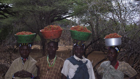 hunter-gatherer_puzzle.jpg