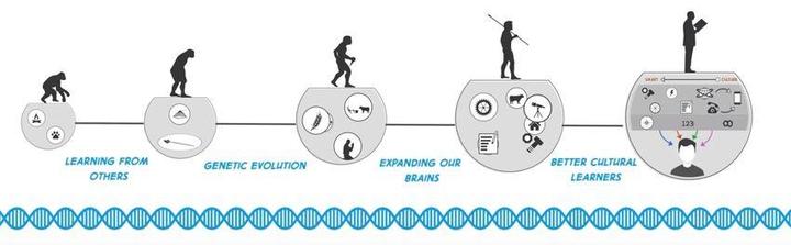 cumulative cultural evolution